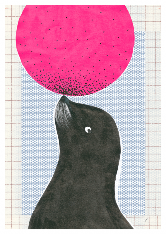 Circus - Robbe (033)