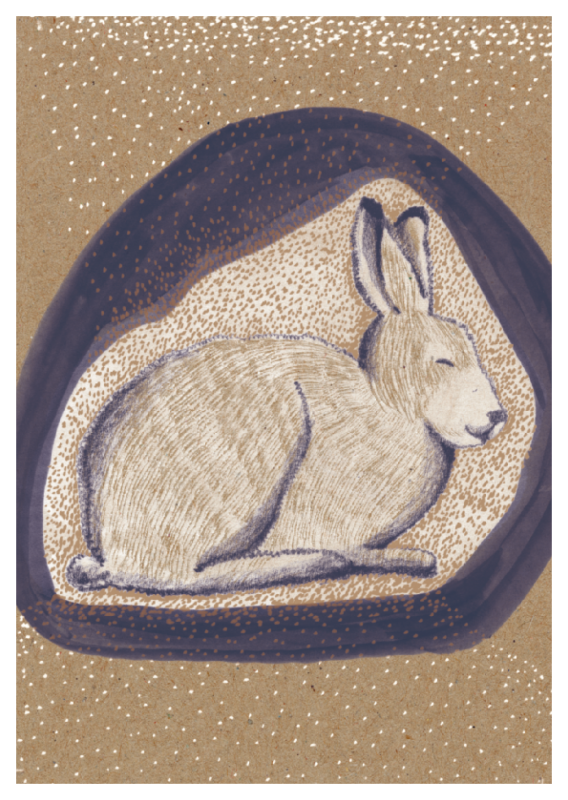 Muskat - Hase (018)