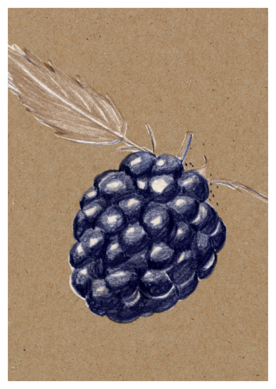 Muskat - Brombeere (022)