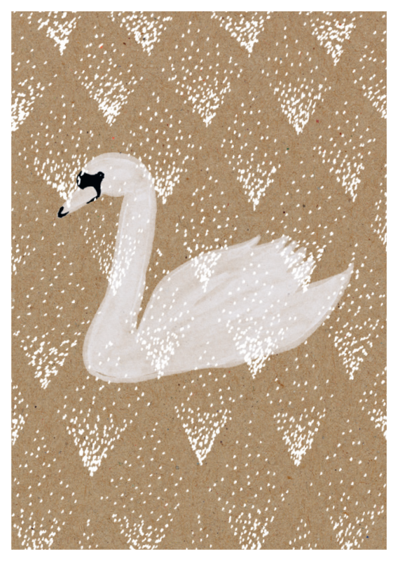 Muskat - Schwan (024)