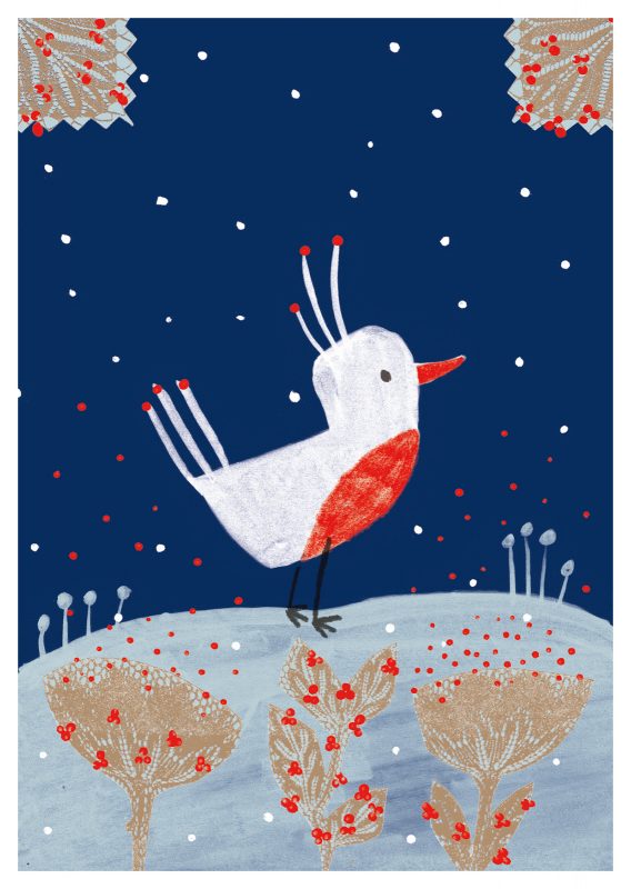 Winter - Rotbrüstchen in der Winternacht (196)