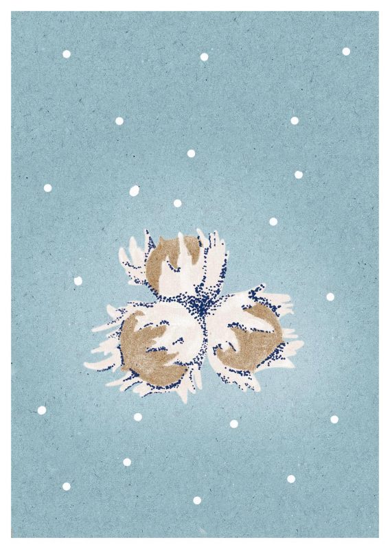 Winter - Haselnuss (245)