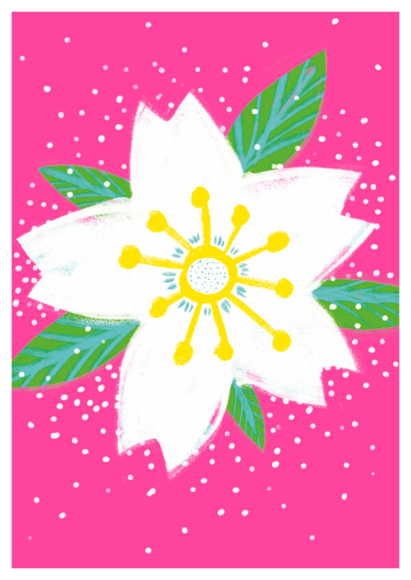 Frühling- Apfelblüten (351)