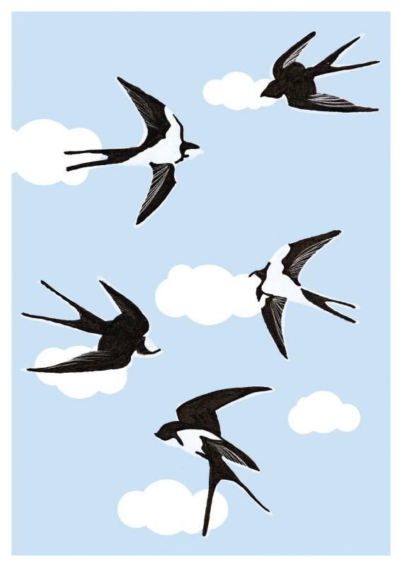 Spring - Schwalben (028)