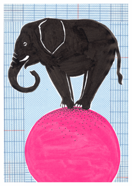 Circus-Elefant